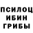 Псилоцибиновые грибы Psilocybine cubensis Donna Bruce