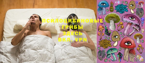 прущие крисы Алексеевка