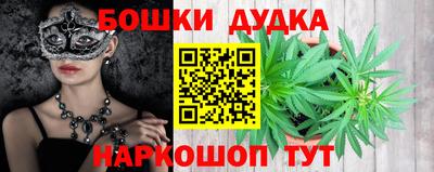 стаф Славгород