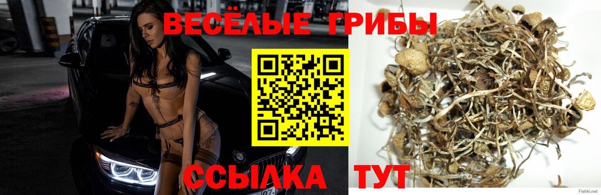 Псилоцибиновые грибы мухоморы  Псилоцибиновые грибы Cubensis  Североуральск  Вход с VPN 