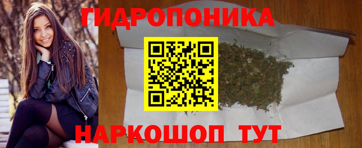 Канабис OG Kush Североуральск